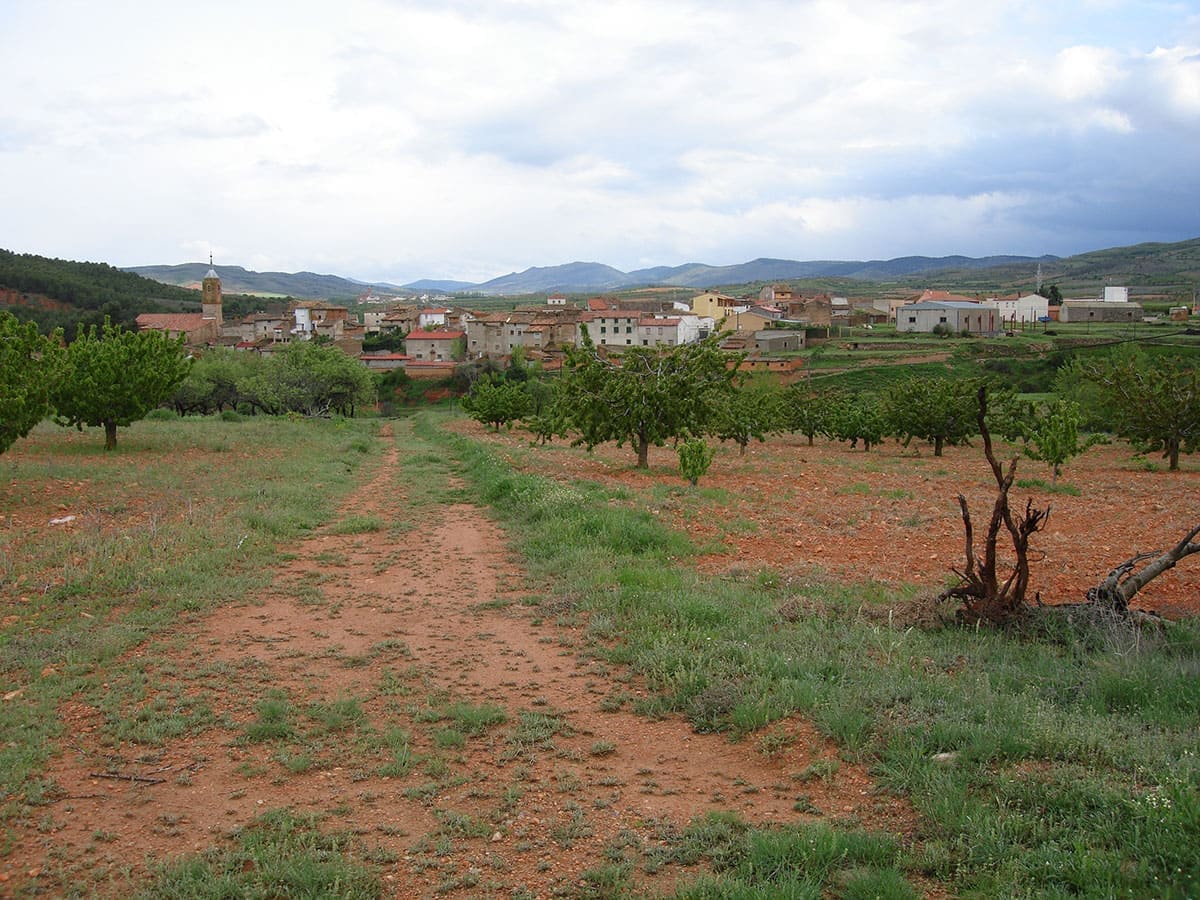 La Vilueña Casa Rural